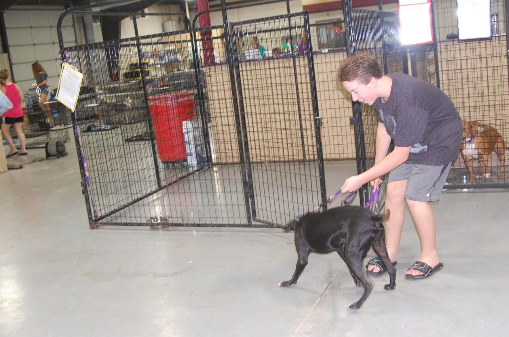 Piedmont animal rescue (19).JPG